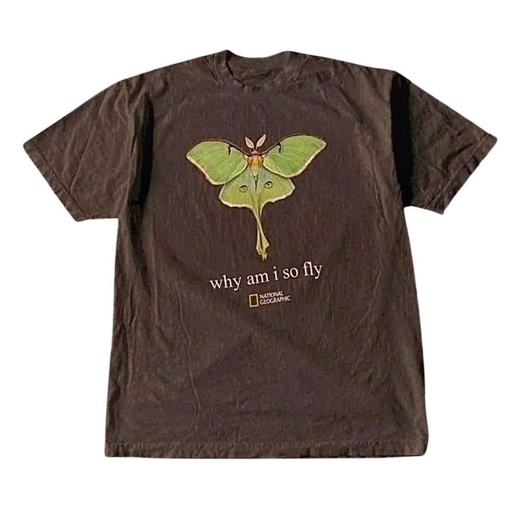 Gildan National Geographic T-Shirt Womens Small Brown Excellent Luna Moth Fly